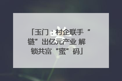 玉门：村企联手“链”出亿元产业 解锁共富“蜜”码
