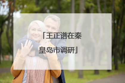 王正谱在秦皇岛市调研