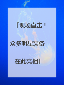 现场直击！众多明星装备在此亮相