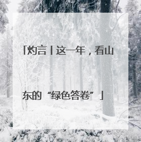 灼言丨这一年，看山东的“绿色答卷”
