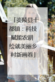 炎陵县十都镇：科技赋能农耕 绘就美丽乡村新画卷