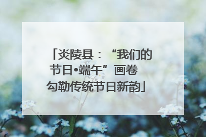 炎陵县：“我们的节日•端午”画卷 勾勒传统节日新韵