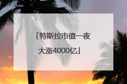 特斯拉市值一夜大涨4000亿