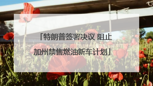特朗普签署决议 阻止加州禁售燃油新车计划