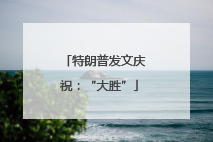 特朗普发文庆祝：“大胜”