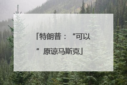 特朗普：“可以”原谅马斯克