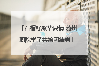 石榴籽聚华夏情 随州职院学子共绘团结卷