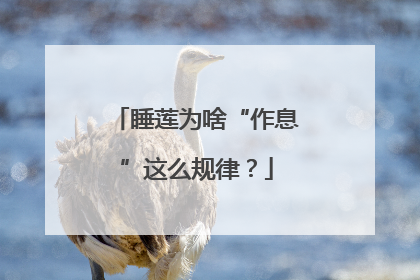 睡莲为啥“作息”这么规律？
