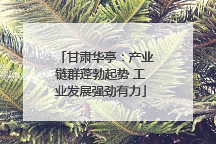 甘肃华亭：产业链群蓬勃起势 工业发展强劲有力