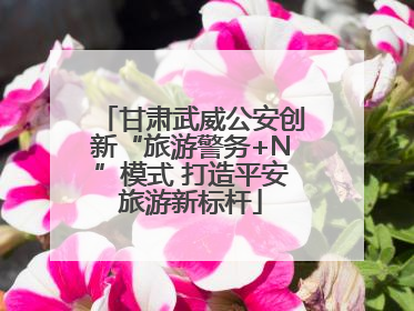 甘肃武威公安创新“旅游警务+N”模式 打造平安旅游新标杆