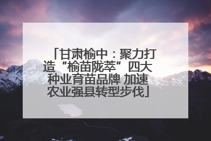 甘肃榆中：聚力打造“榆苗陇萃”四大种业育苗品牌 加速农业强县转型步伐