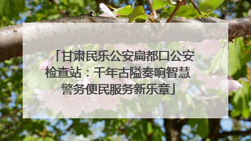甘肃民乐公安扁都口公安检查站：千年古隘奏响智慧警务便民服务新乐章