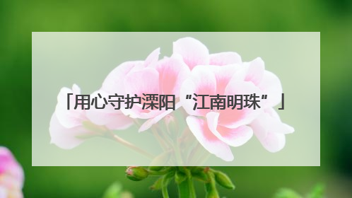 用心守护溧阳“江南明珠”
