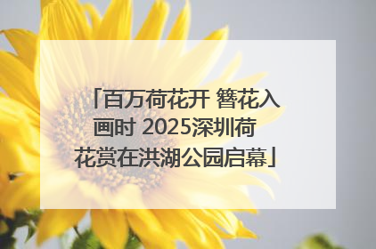 百万荷花开 簪花入画时 2025深圳荷花赏在洪湖公园启幕