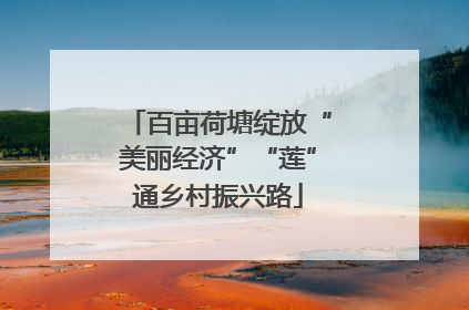 百亩荷塘绽放“美丽经济”“莲”通乡村振兴路