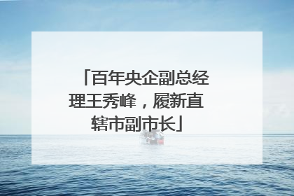 百年央企副总经理王秀峰，履新直辖市副市长