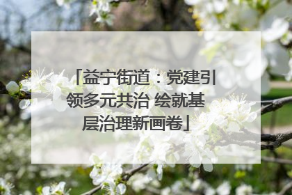 益宁街道：党建引领多元共治 绘就基层治理新画卷