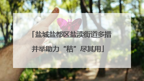 盐城盐都区盐渎街道多措并举助力“秸”尽其用