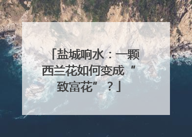 盐城响水：一颗西兰花如何变成“致富花”？
