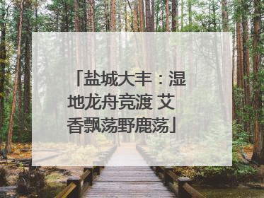盐城大丰：湿地龙舟竞渡 艾香飘荡野鹿荡