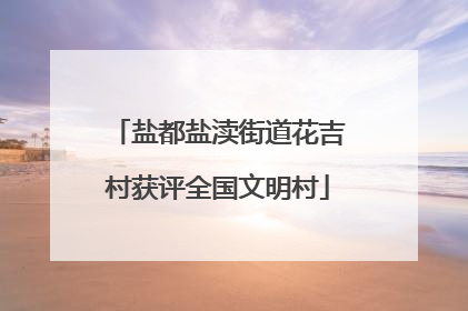 盐都盐渎街道花吉村获评全国文明村