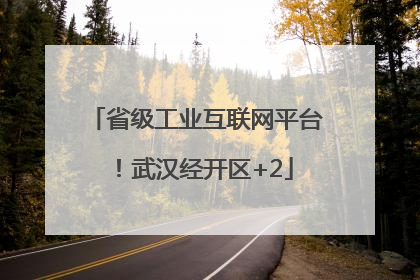 省级工业互联网平台！武汉经开区+2