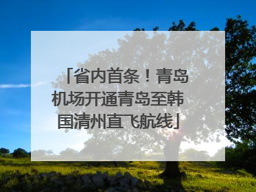 省内首条！青岛机场开通青岛至韩国清州直飞航线