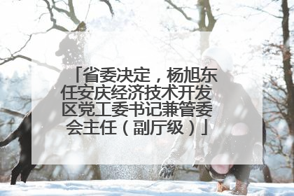 省委决定，杨旭东任安庆经济技术开发区党工委书记兼管委会主任（副厅级）