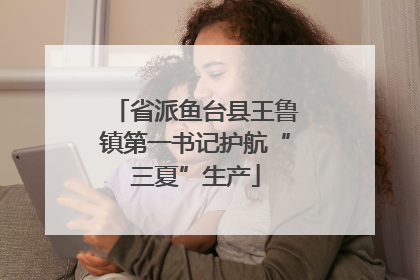省派鱼台县王鲁镇第一书记护航“三夏”生产