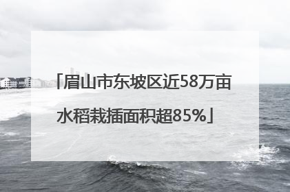 眉山市东坡区近58万亩水稻栽插面积超85%