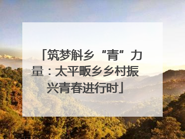 筑梦斛乡“青”力量：太平畈乡乡村振兴青春进行时