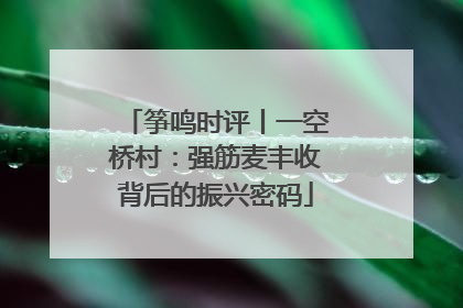 筝鸣时评丨一空桥村：强筋麦丰收背后的振兴密码