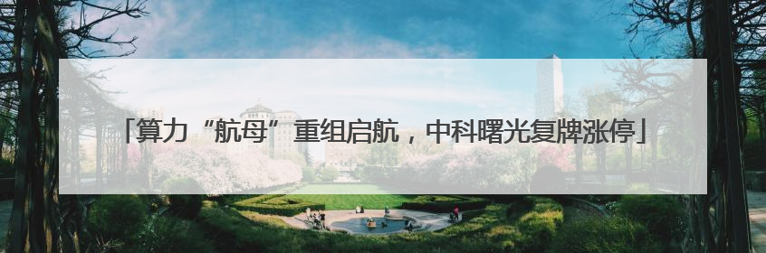 算力“航母”重组启航，中科曙光复牌涨停