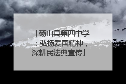 砀山县第四中学：弘扬爱国精神，深耕民法典宣传