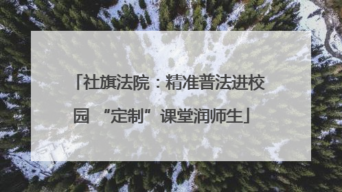 社旗法院：精准普法进校园 “定制”课堂润师生