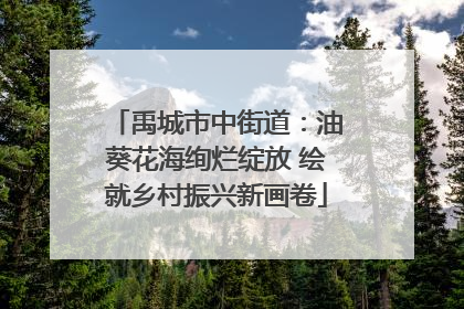 禹城市中街道：油葵花海绚烂绽放 绘就乡村振兴新画卷