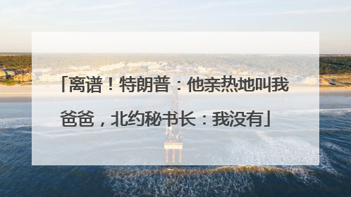 离谱！特朗普：他亲热地叫我爸爸，北约秘书长：我没有
