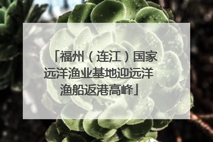福州（连江）国家远洋渔业基地迎远洋渔船返港高峰