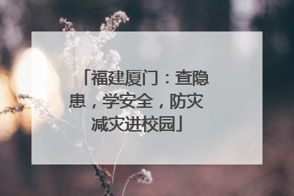 福建厦门：查隐患，学安全，防灾减灾进校园