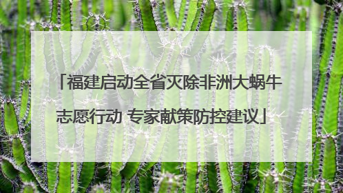 福建启动全省灭除非洲大蜗牛志愿行动 专家献策防控建议