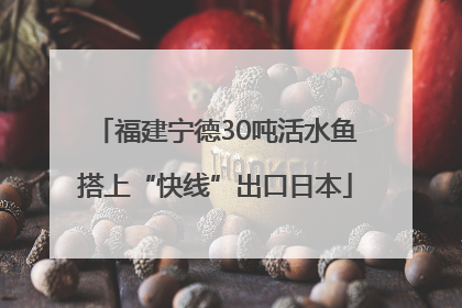 福建宁德30吨活水鱼搭上“快线”出口日本
