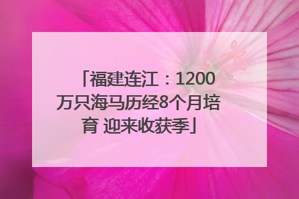 福建连江：1200万只海马历经8个月培育 迎来收获季