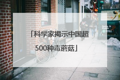 科学家揭示中国超500种毒蘑菇