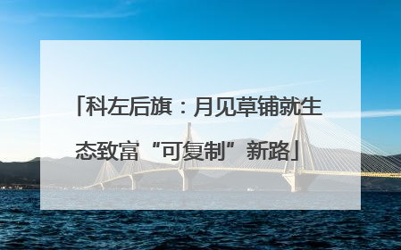 科左后旗：月见草铺就生态致富“可复制”新路