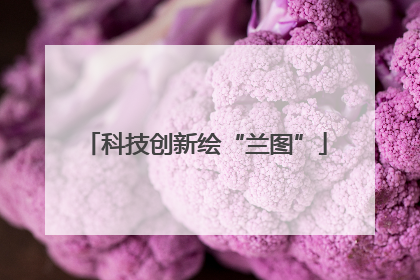 科技创新绘“兰图”