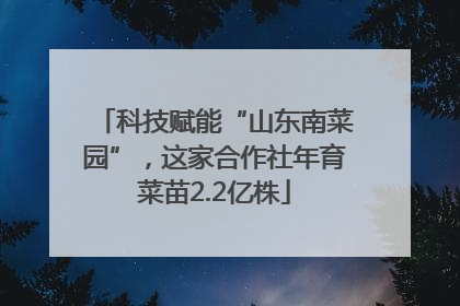 科技赋能“山东南菜园”，这家合作社年育菜苗2.2亿株