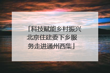 科技赋能乡村振兴 北京住建委下乡服务走进通州西集