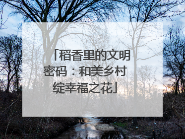 稻香里的文明密码：和美乡村绽幸福之花