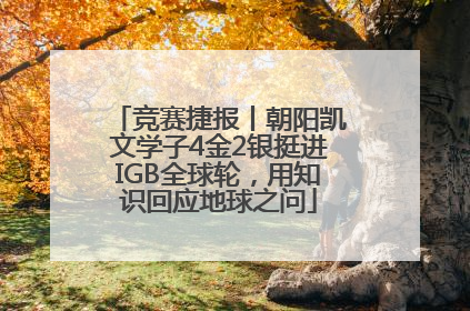 竞赛捷报丨朝阳凯文学子4金2银挺进IGB全球轮，用知识回应地球之问