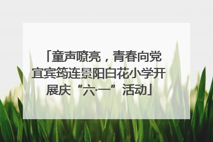 童声嘹亮，青春向党 宜宾筠连景阳白花小学开展庆“六·一”活动